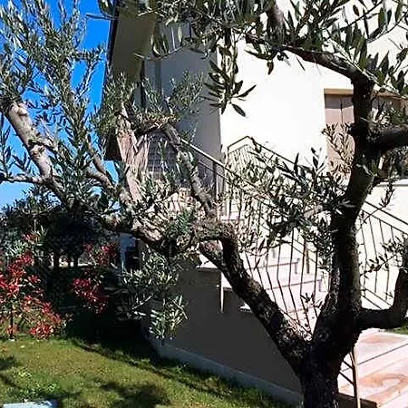 Corte Montioni אורחן לאזיסה